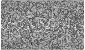 h50+-exemple-fabrication-embouts-auditifs-imprimante-3d-rapidshape