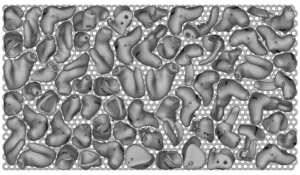 Ultra 50-simulation-fabrication-imprimante-3d-asiga